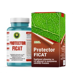Capsule Protector Ficat - Vitamine si Suplimente Naturale - Produs Hypericum Impex